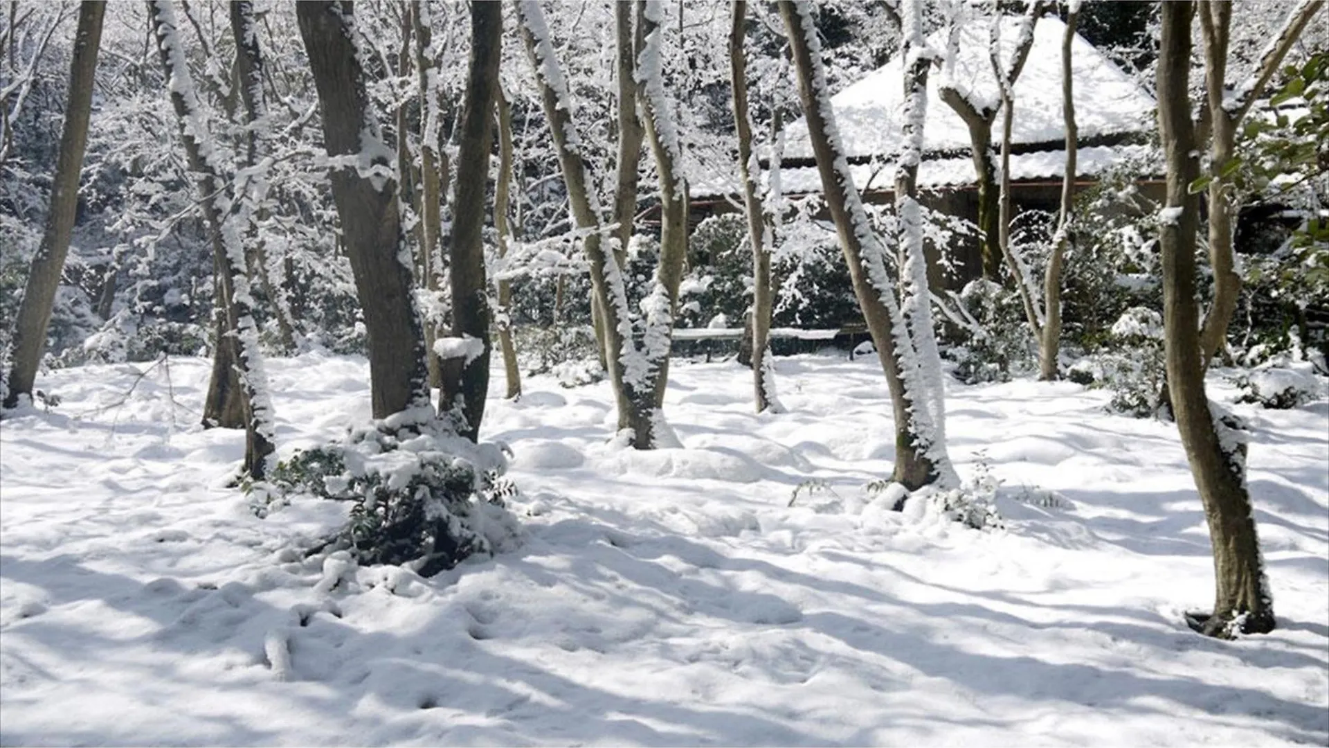 River Side Arashiyama - Vacation Stay 86277V Kyoto Japan