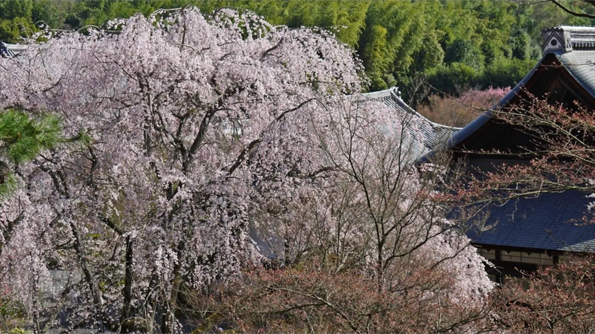 River Side Arashiyama - Vacation Stay 86277V Kyoto 0*,
