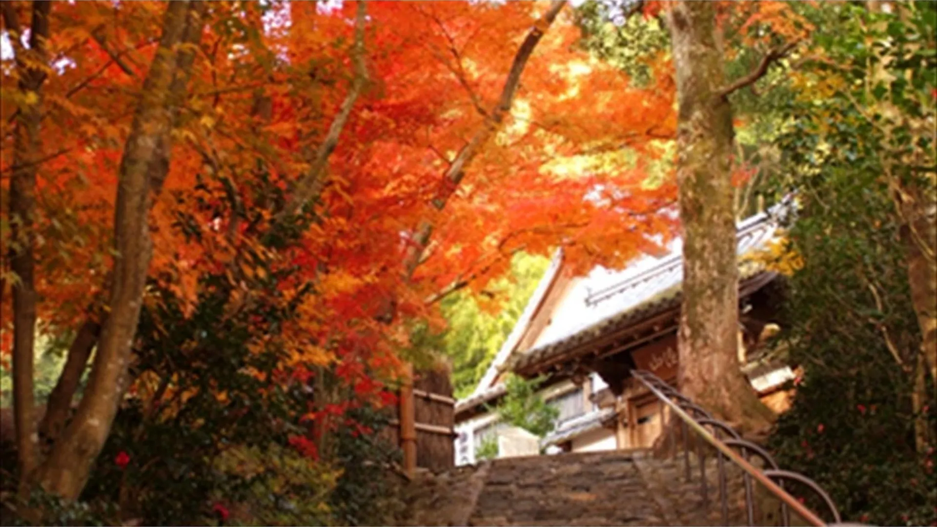 River Side Arashiyama - Vacation Stay 86277V Kyoto Hotel